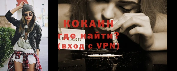 стафф Алексин