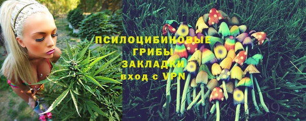 стафф Алексин