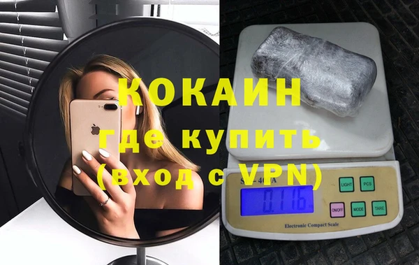 бошки Пересвет