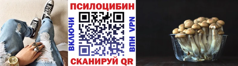 Галлюциногенные грибы прущие грибы  blacksprut ТОР  Хадыженск  сколько стоит 